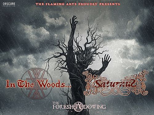 IN THE WOODS..., SATURNUS, THE FORESHADOWING – info