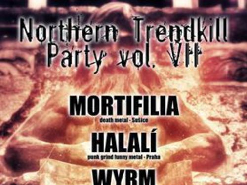 NORTHERN TRENDKILL PARTY VOL. VII - info
