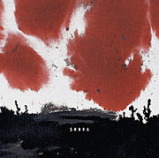 Debutové album SKARA je venku