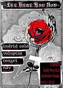 V Jindřichově Hradci zahrají 11. 6. 2022 INDRID COLD, TENGRI, NÁV a VOLUPTAS