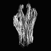 NIČITEĽ - LP / MC "Anna"