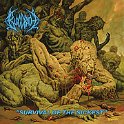 BLOODBATH chystají nové album