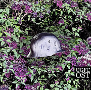 UNCLE GRASHA´ FLYING CIRCUS - "Mother Lied (Zeppelin dance - Beograd dance)"