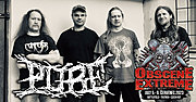 PURE - nový přírůstek na OEF