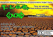 Benefiční koncert v rámci 5. strakonického Veget Festu