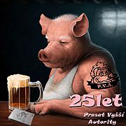 U PHR Records vyšel živák plzeňské punk kapely P.V.A.