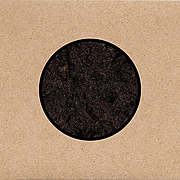 SWANS chystají nové album