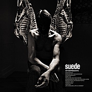 SUEDE chystají nové album