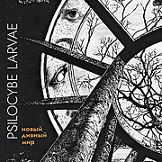 PSILOCYBE LARVAE vydali nové EP