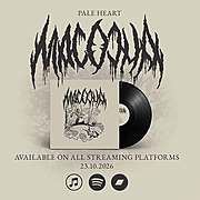 MACOCHA chystají druhé album