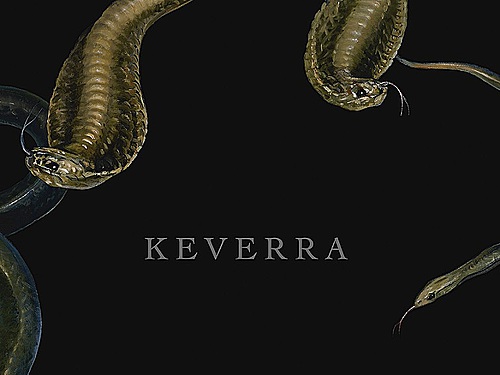 KEVERRA – Keverra