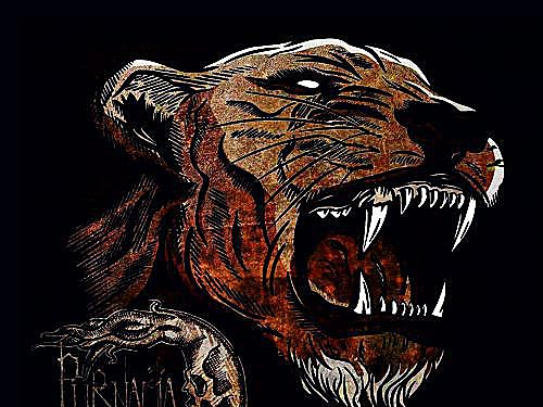 PURNAMA – Lioness