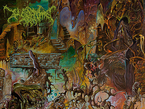 WORM – Foreverglade
