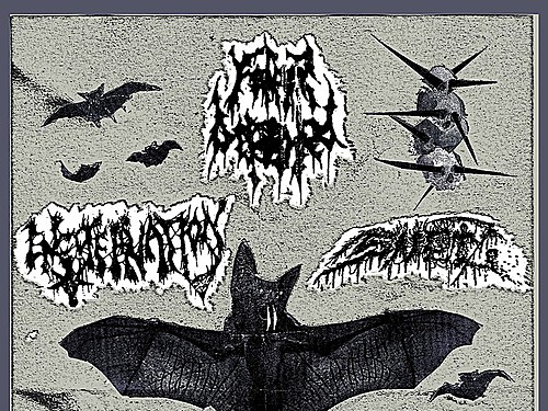 FATHER BEFOULED (us) + ENCOFFINATION (us) + SNĚŤ (cz) - info