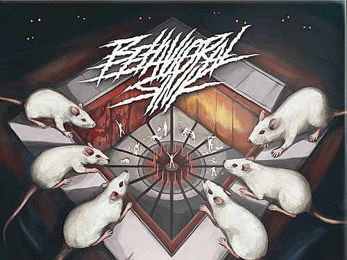 BEHAVIORAL SINK – Nestmind