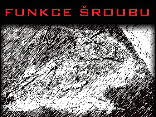 FUNKCE ŠROUBU – Nepřipadá vám někdy?