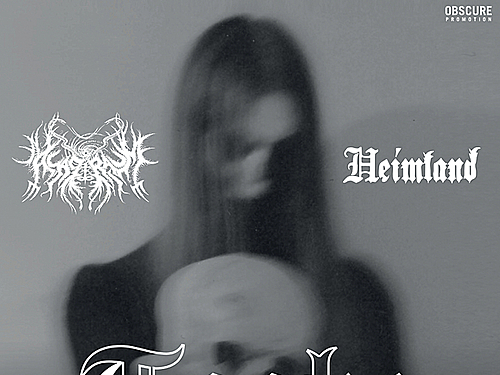 TAAKE, ASAGRAUM, HEIMLAND - info