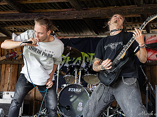 IL FEST 2025 (Fotoreport)