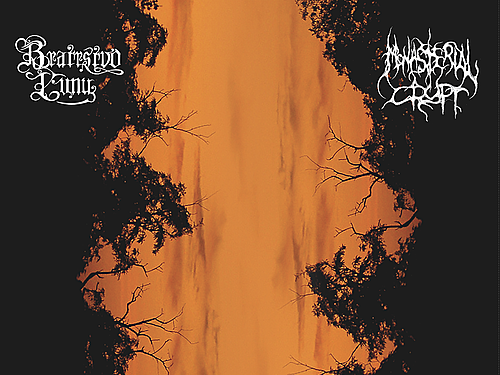 BRATRSTVO LUNY – Carpe Luna / MONASTERIAL CRYPT – Autumn 