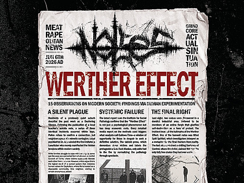 NOISES – Werther Effect