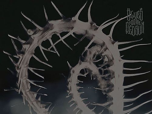 BLUES FOR THE REDSUN – Dragon Tail Revelation