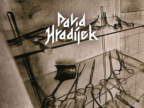 David Hradílek – Hadamar