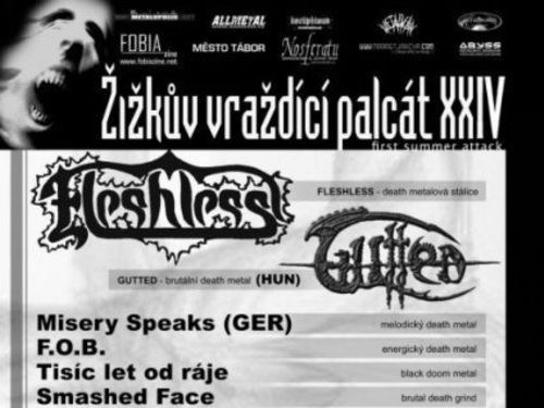 ANKETA MEZI POŘADATELI LETNÍCH FESTIVALŮ 2006 &#8211; ŽIŽKŮV VRAŽDÍCÍ PALCÁT