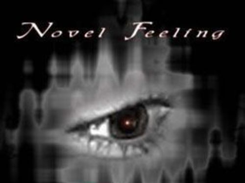 NOVEL FEELING - Tears