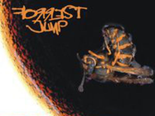 FORREST JUMP - Killusion
