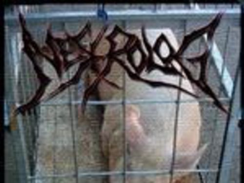 NEKROLOG – Death ´n´ roll