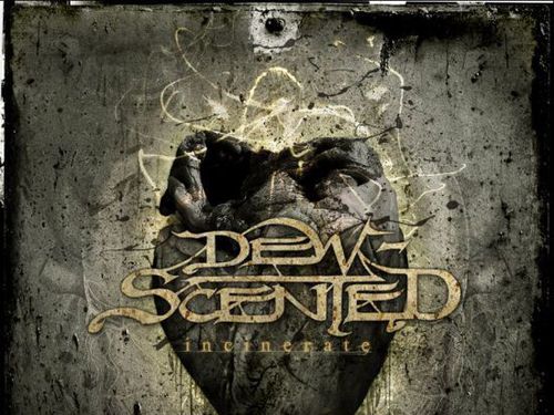 DEW SCENTED &#8211; Incinerate