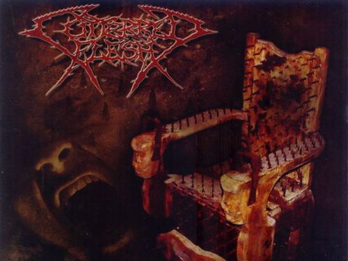 CUTTERED FLESH – Torture is Medicine