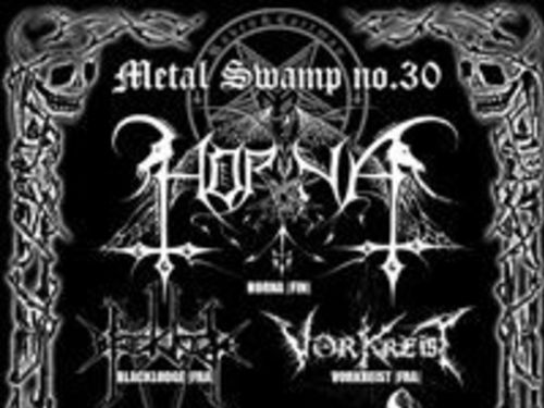 Metal Swamp 30.-info