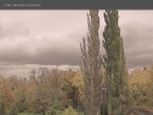 THE MORNINGSIDE – The wind the trees and the shadows of the past