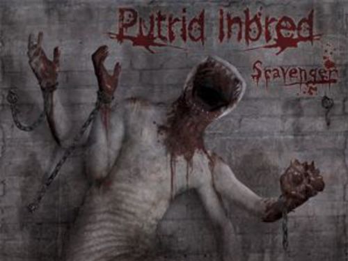 PUTRID INBRED - Scavenger