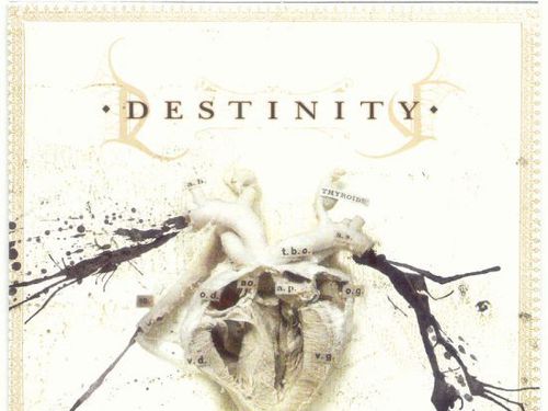 DESTINITY - The Inside