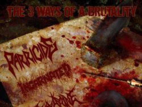 PARRICIDE &#8211; INCARNATED - REEXAMINE - The 3 Ways of a Brutality (Split)