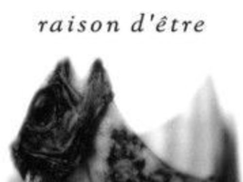 RAISON D´ETRE &#8211; Prospectus I