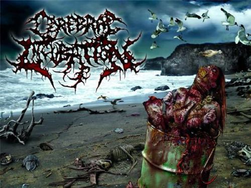 CEREBRAL INCUBATION - Asphyxiating on Excrement