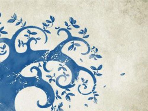 NEGATIVE FACE – The Garden of Wishes