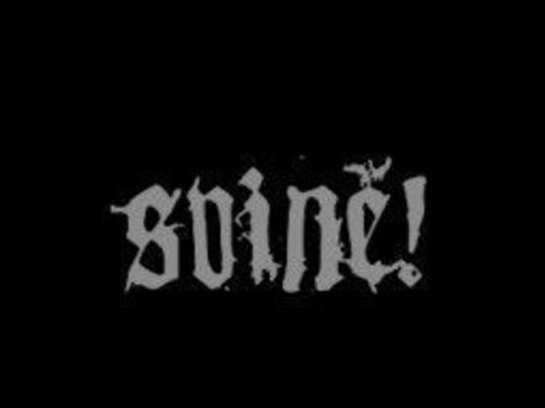 SVINĚ! – Svině!