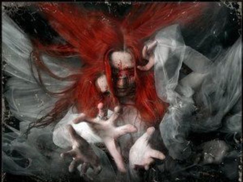 SONNEILLON – Polymorphous