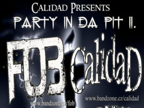 PARTY IN DA PIT II - info