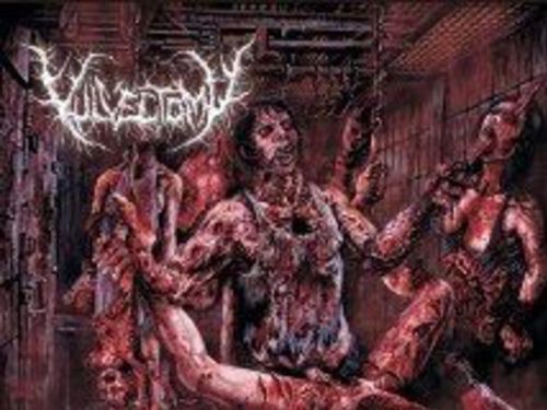 VULVECTOMY - Post Abortion Slut Fuck