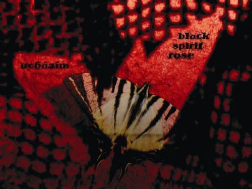 UCHÁZÍM / BLACK SPIRIT ROSE – Split kontrakultura