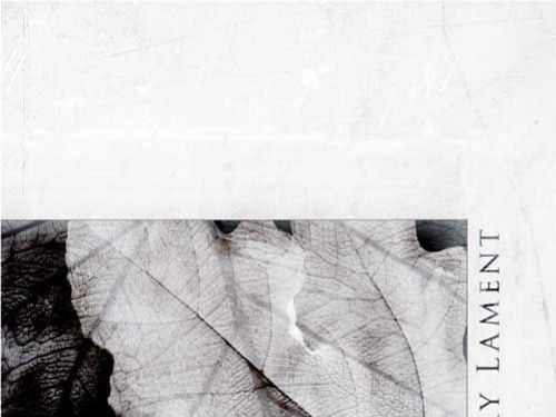 MY LAMENT – Broken Leaf