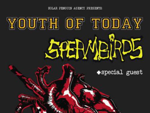 YOUTH OF TODAY a SPERMBIRDS  - info