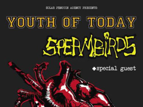 YOUTH OF TODAY a SPERMBIRDS - info