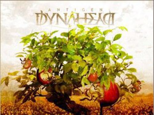 DYNAHEAD – Antigen