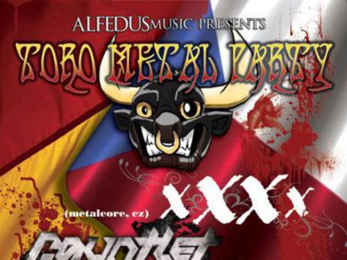 TORO METAL PARTY - info